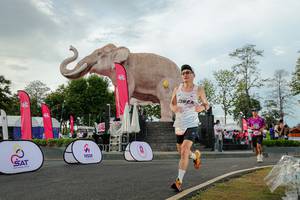 BIB: 
                            <button type="button" onclick="openModal(26528425)" class="btn btn-primary btn-sm float-right btn-popup" data-toggle="modal" data-target=".modal-high-quality">
                        <i class="fas fa-shopping-cart"></i> Add to Cart
                    </button>
                                            <button type="button" onclick="isThisMe(26528425, true)" class="btn btn-success btn-sm float-right btn-popup btn-isme hidden" data-toggle="tooltip" data-placement="bottom" title="นี่คือรูปของคุณใช่ไหม คลิกที่นี่เพื่อเอาเข้าอัลบั้ม">
                        <i class="fas fa-plus"></i> Add to album
                    </button>
                    <button type="button" onclick="isThisMe(26528425, false)" class="btn btn-warning btn-sm float-right btn-popup btn-isnotme hidden">
                        <i class="fas fa-ban"></i> Remove from album
                    </button>